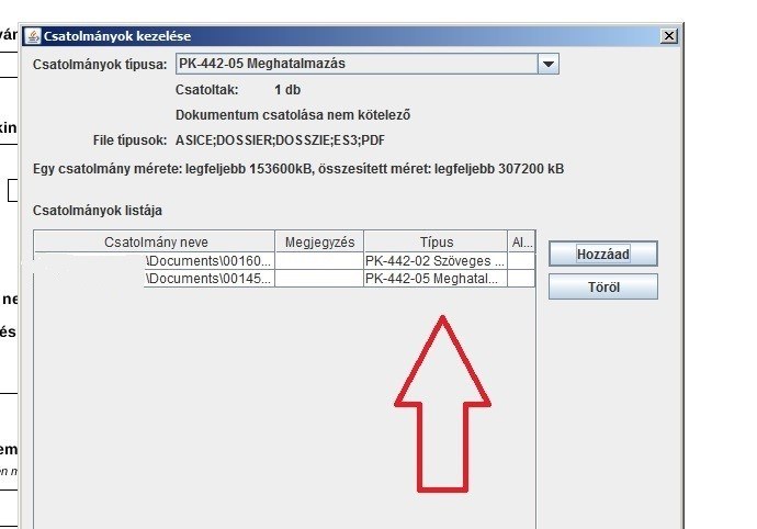 típus ellenőrzés